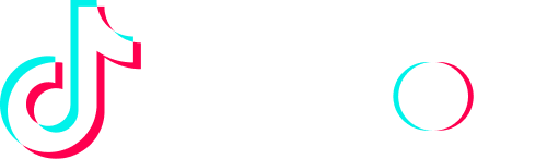 TikTok Partner